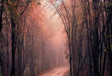 开云体育官方网站-赛道上的心跳：当速度成为信仰