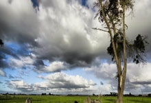 开云体育官方网站-赛道上的心跳：当速度成为信仰