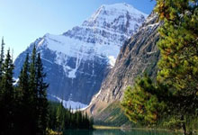 开云体育登录-浴火重燃！中国篮坛巨星XXX的征途