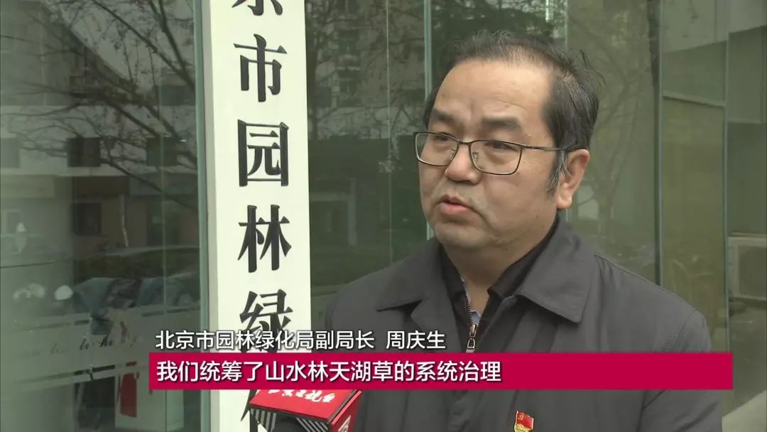 齐祖领衔顶级教练榜单,成绩亮眼 齐祖领衔顶级教练榜单,成绩亮眼