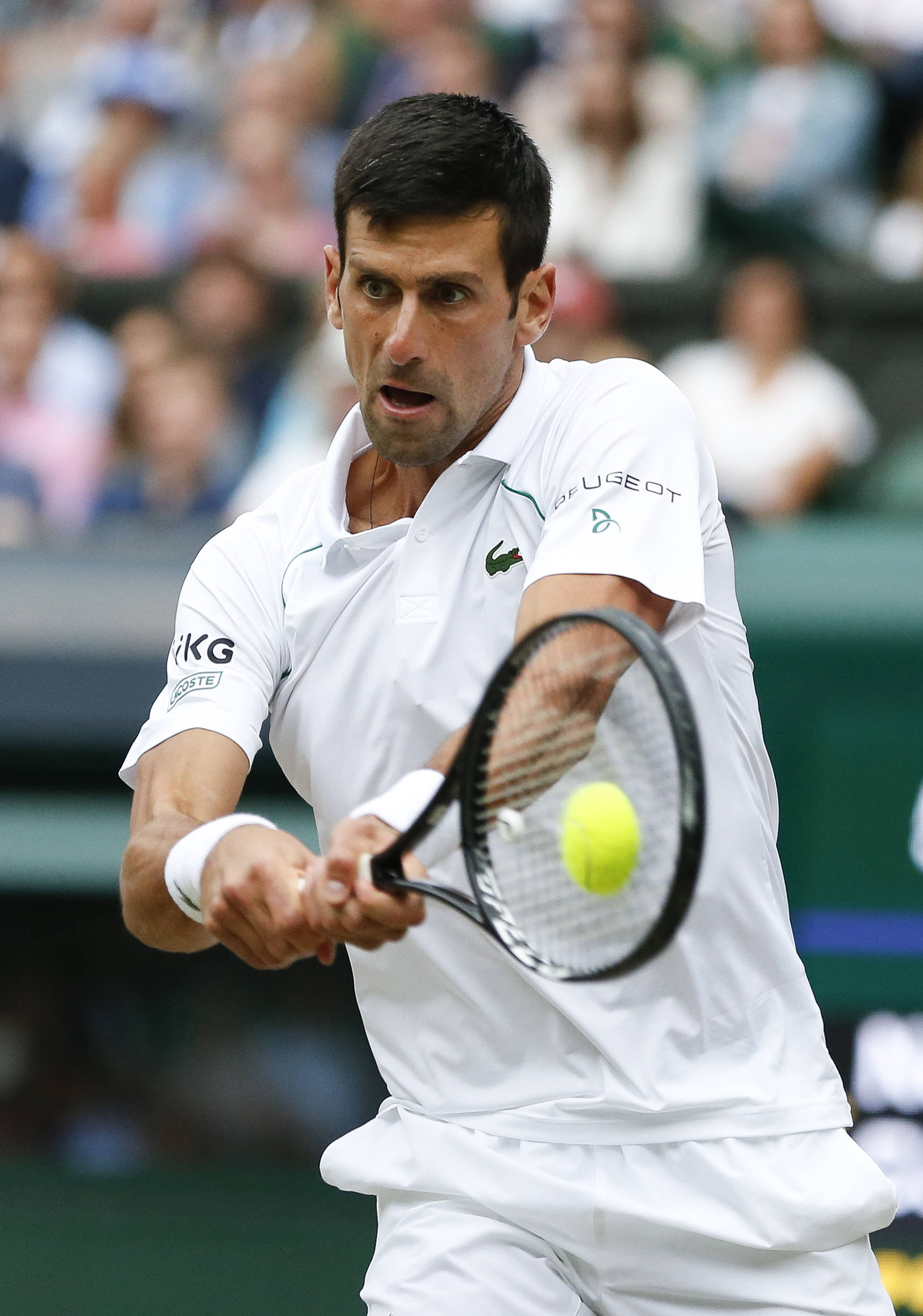 开云官网-温布尔登连续战胜，积分攀升的简单介绍