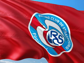 开云体育官网-帕尔梅拉斯新援适应良好，世俱杯表现备受期待