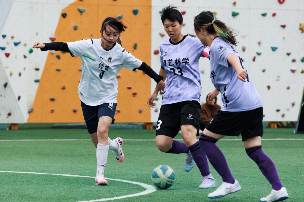 红灯头女足团队,儿女高歌奋敢追逐的简单介绍 红灯头女足团队,儿女高歌奋敢追逐的简单介绍