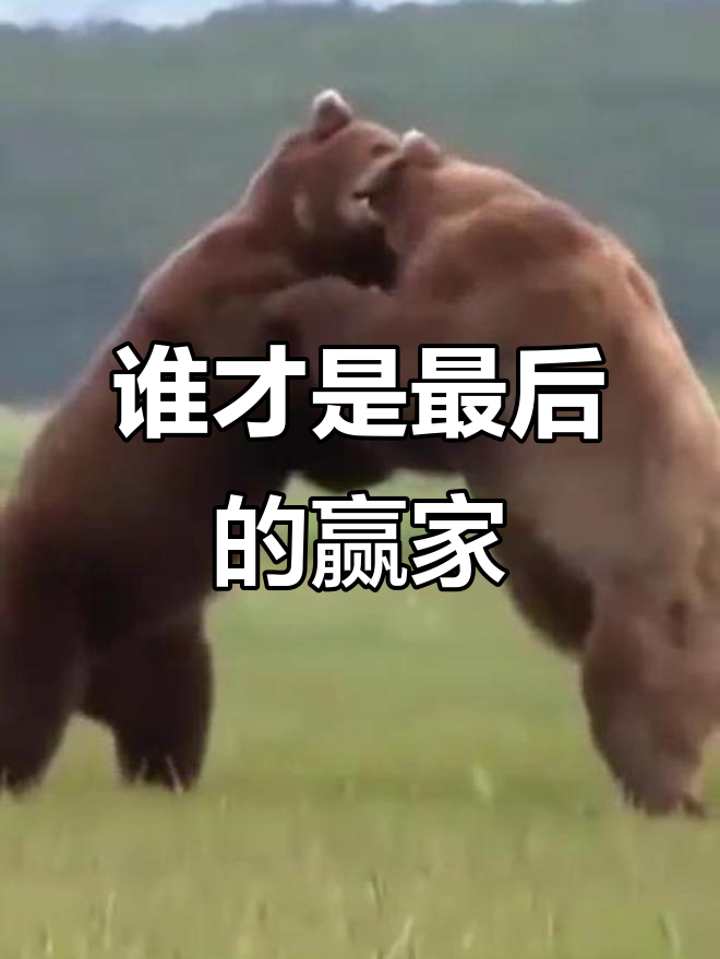 开云官网-劲敌之间的对决谁能笑到最后