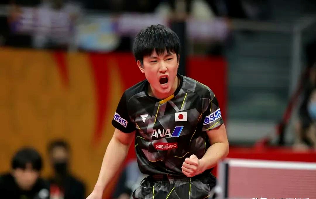 开云体育下载-包含德国乒乓球队血洗比利时乒乓球队，张本智和送出助攻的词条