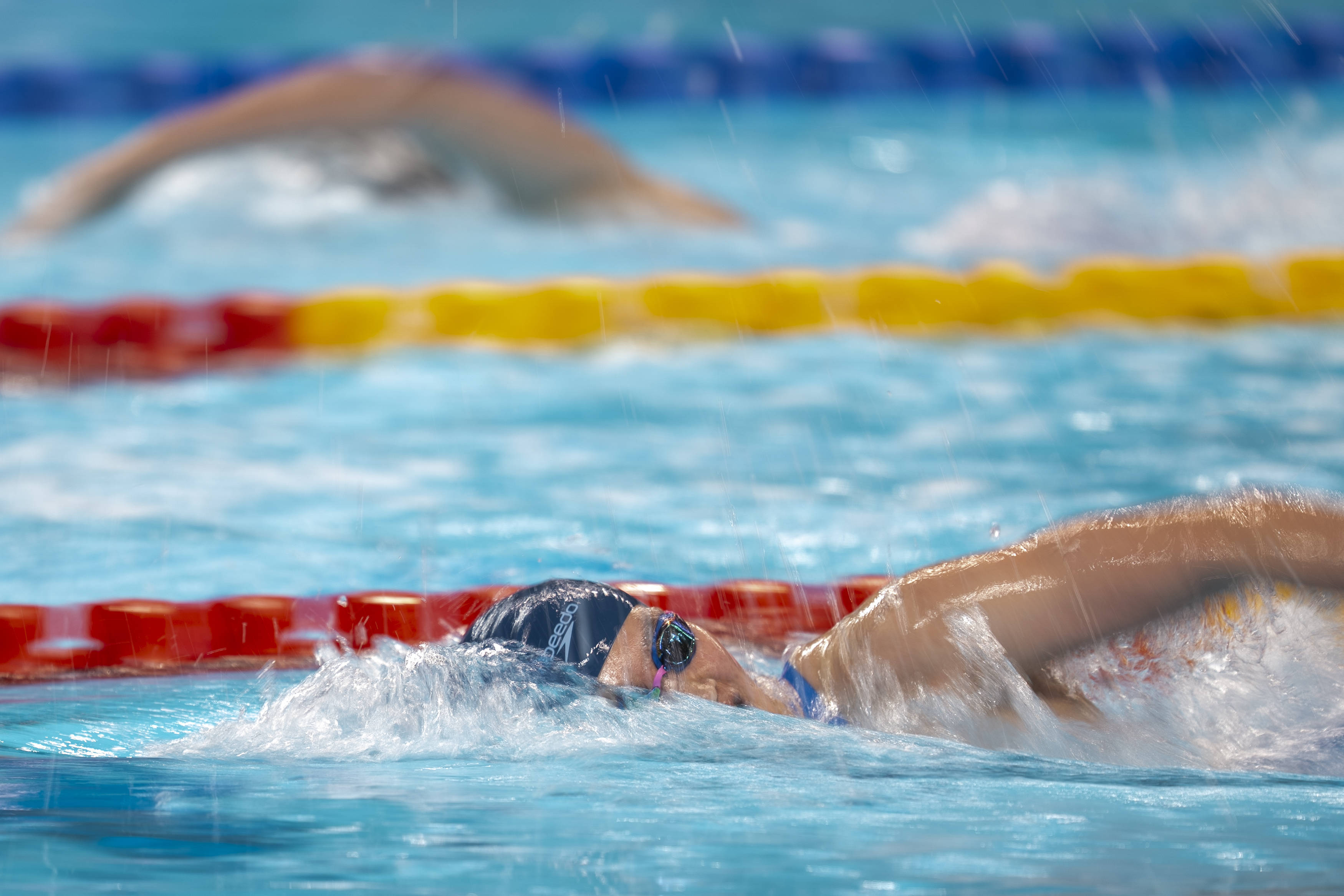 开云体育在线-场面火爆!游泳观众席沸腾不已的简单介绍
