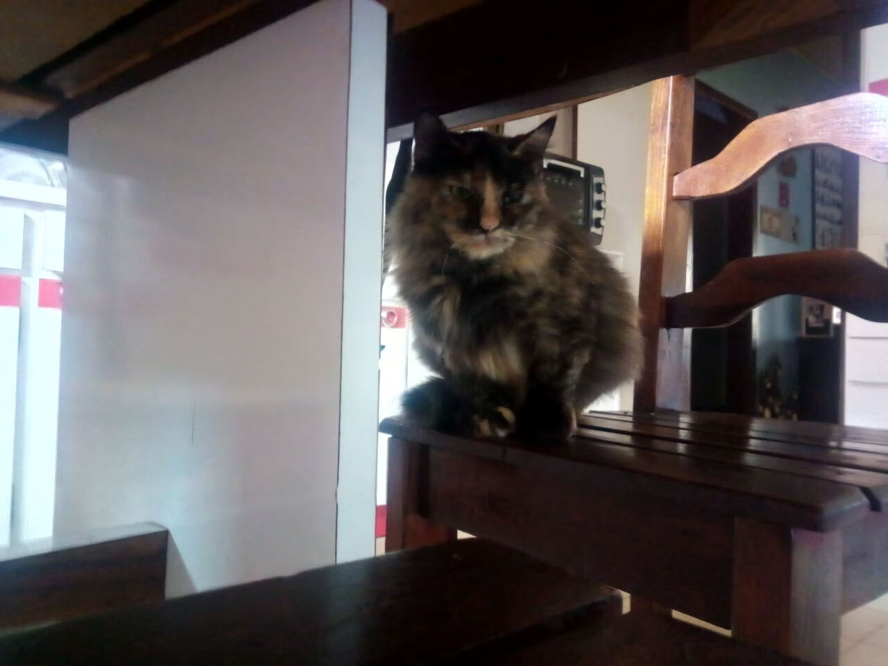 绝境突围!利物浦加时鏖战3-2险胜加纳,挺进决赛