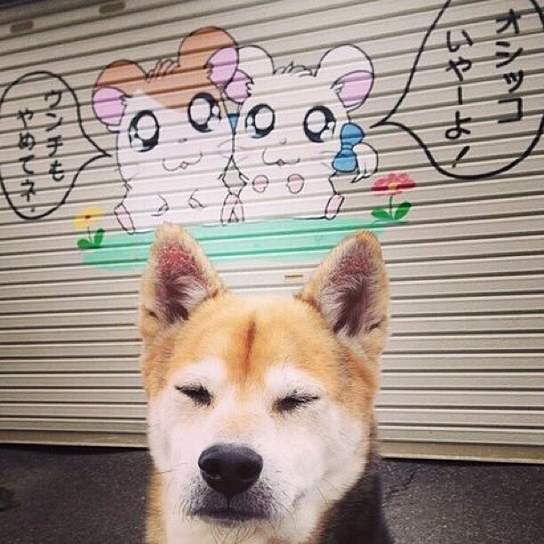 欧冠决战夜，黄蜂蛰醒山西篮球梦