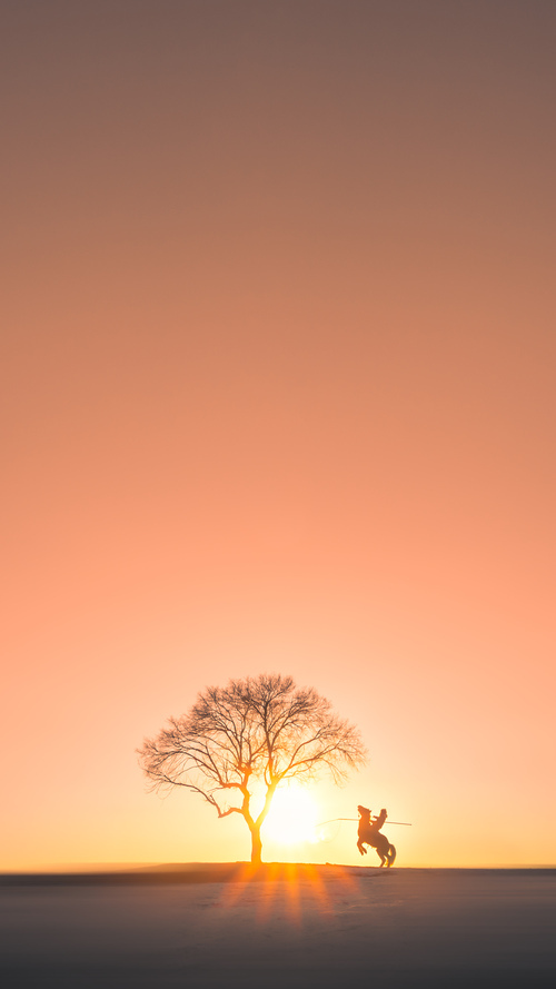 僵局之下，范弗利特如何用45°决策撕裂了辽宁队的防线