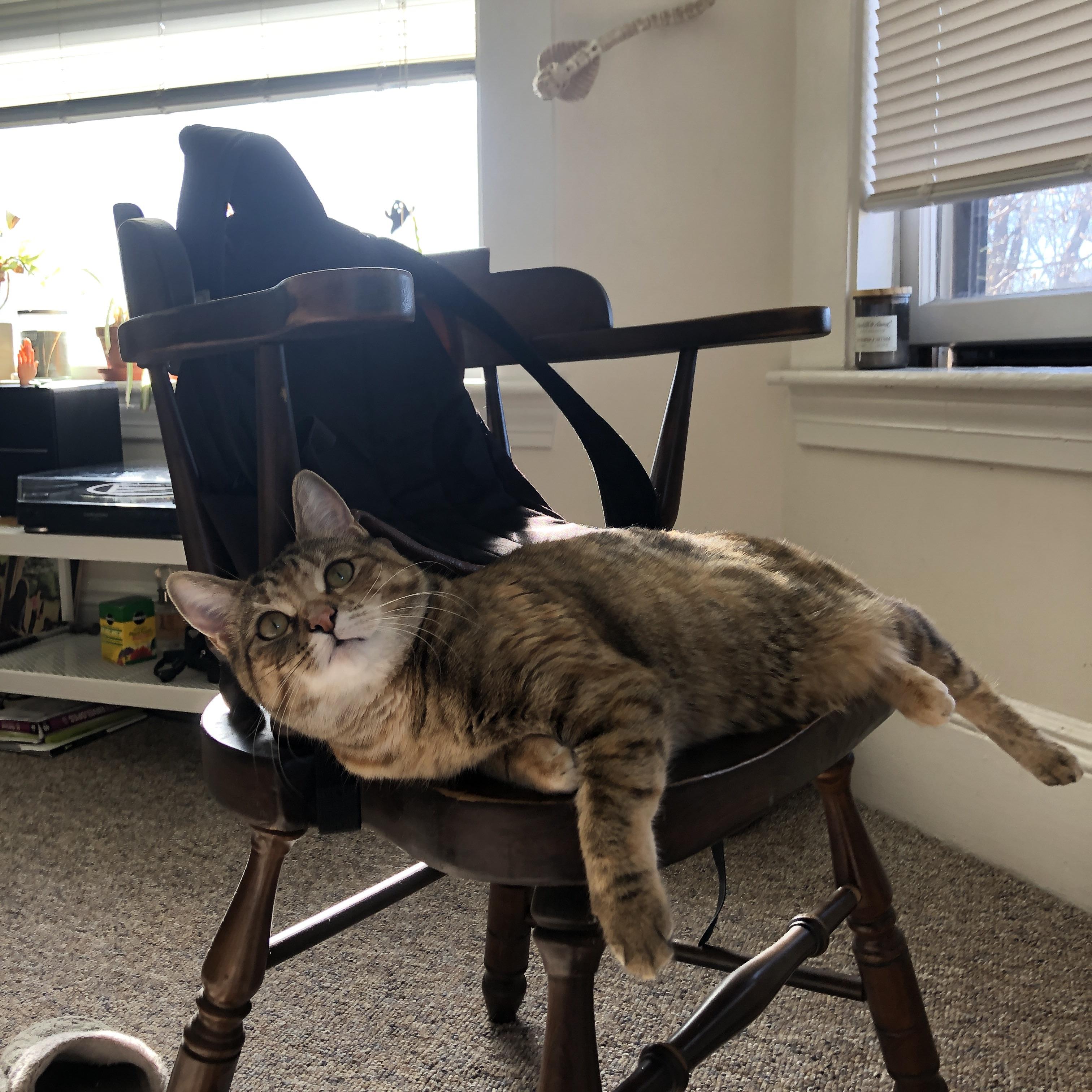 一球定乾坤,文班亚马绝杀点燃奥运烽火