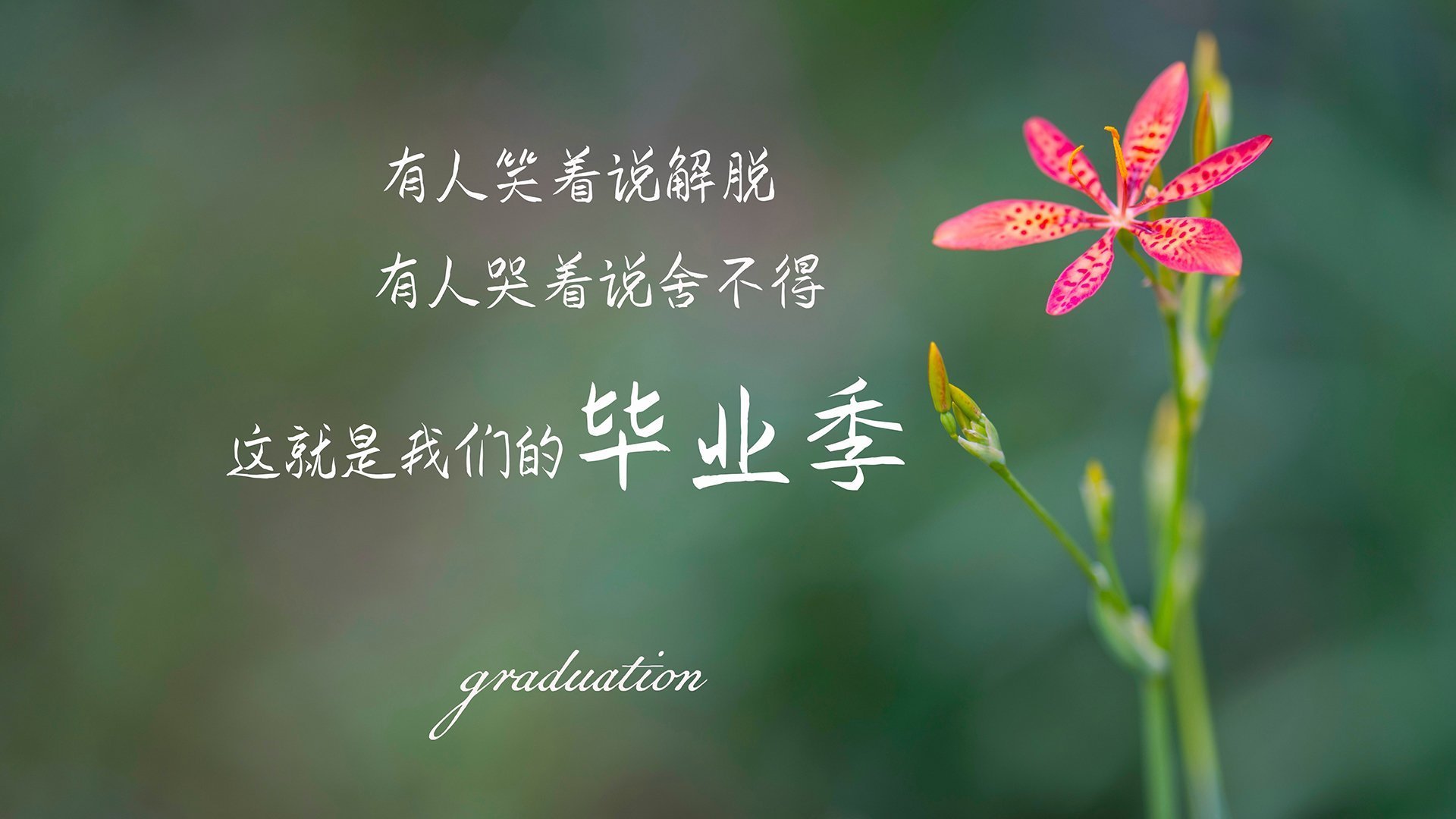 开云体育入口-吉林绝杀提前终结悬念，詹皇精神化身关键先生