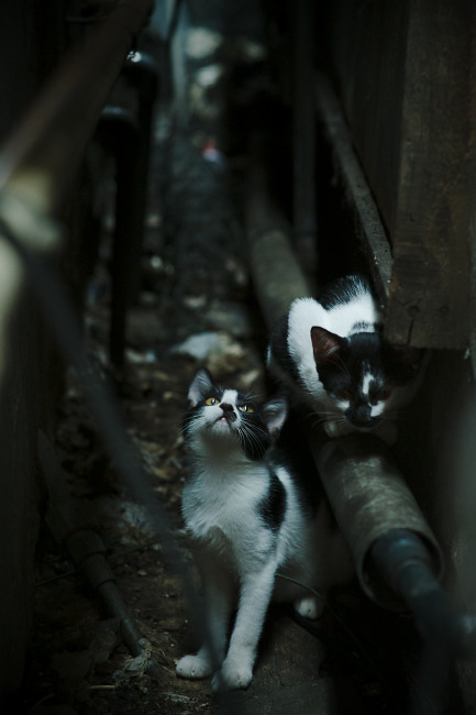 开云体育登录-绝杀的艺术与常态，从神来之笔到手起刀落的关键进化