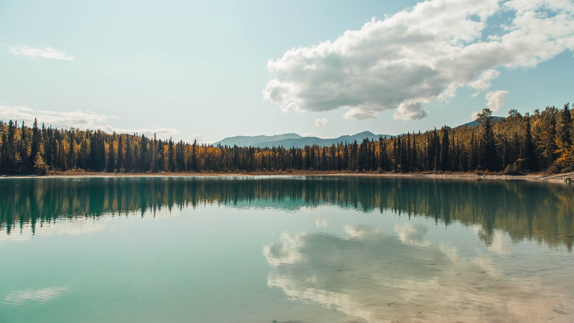 篮网稳胜尼克斯,恩比德全场最佳无争议—NBA之夜的双重奏