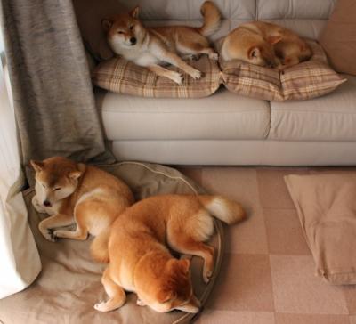 开云官网-末节风暴！乔治关键先生本色助公牛力克灰熊