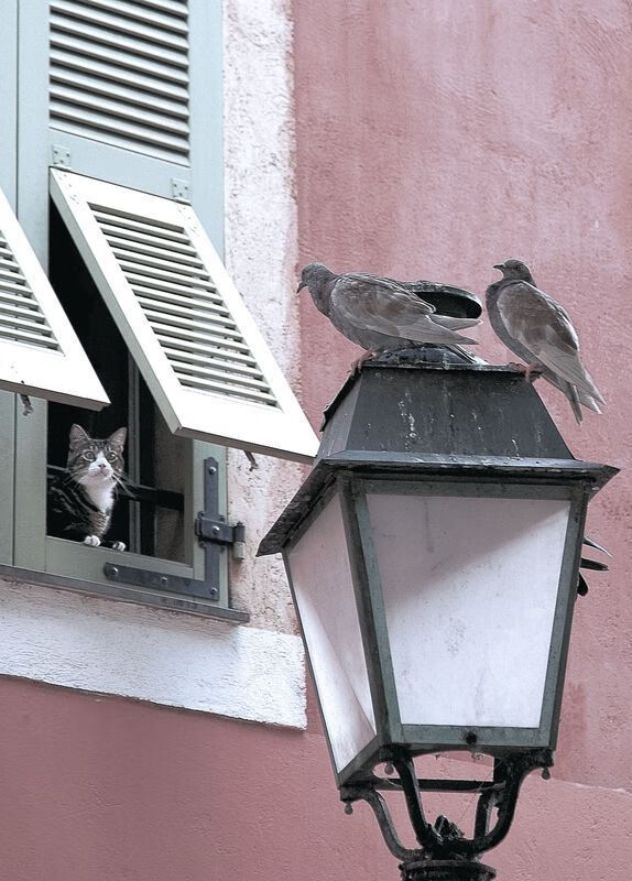 开云体育app-当火箭如潮水般淹没雄鹿，我们终于读懂了库里在总决赛的接管