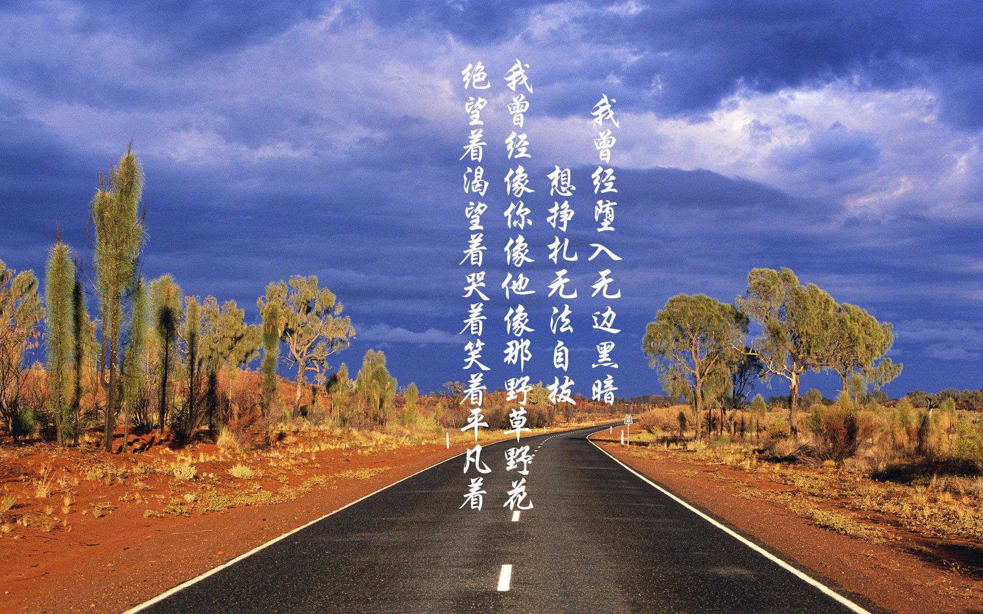 降维打击,当美加墨的喧嚣成为字母哥进攻的交响乐