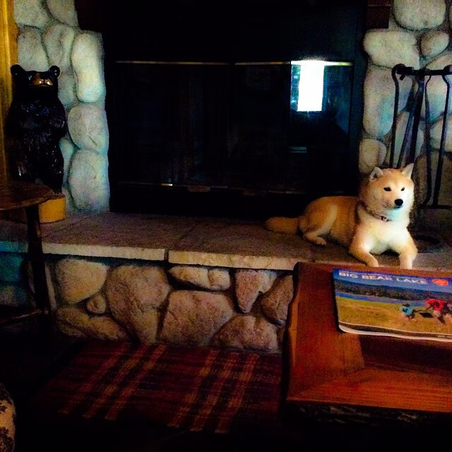 绿茵场上的征服与救赎,当姆巴佩面对英格兰制霸新西兰的隐喻