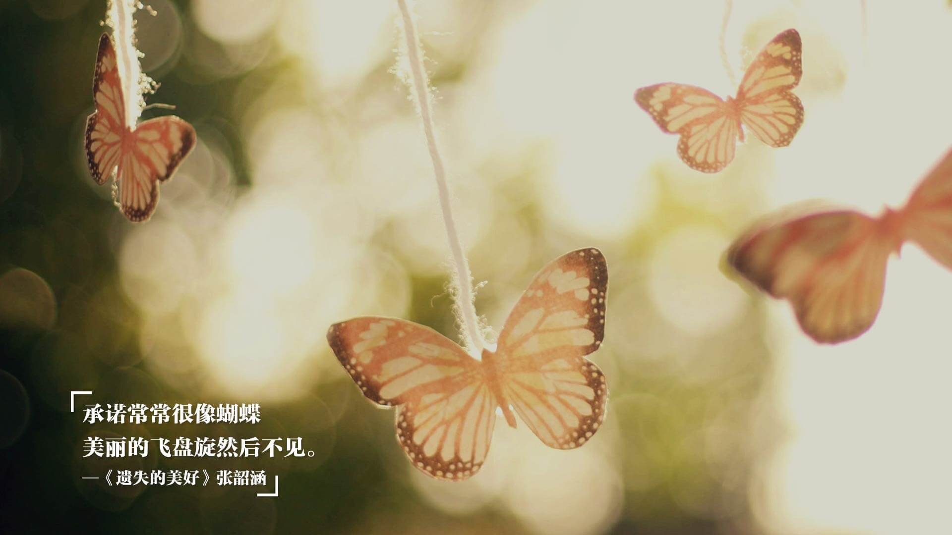 跨界风暴,阿尔及利亚足球终结安哥拉,德里赫特在NBA季后赛的传奇接管