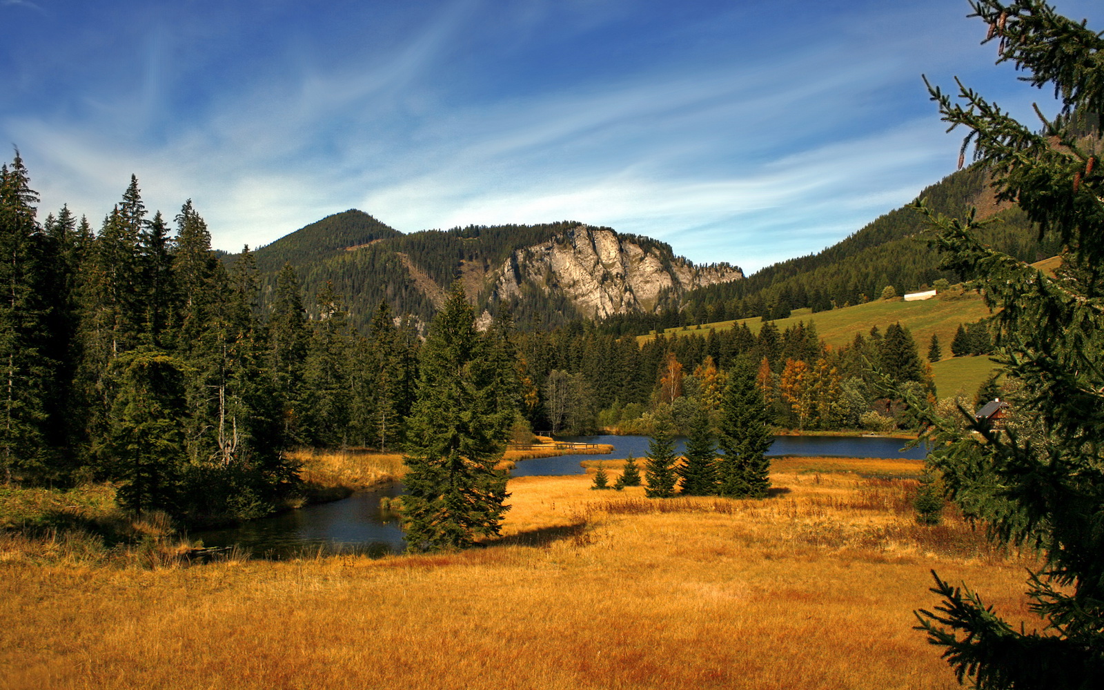 双城记,北京钢铁长城与库里的末节审判—两种胜利哲学的交响